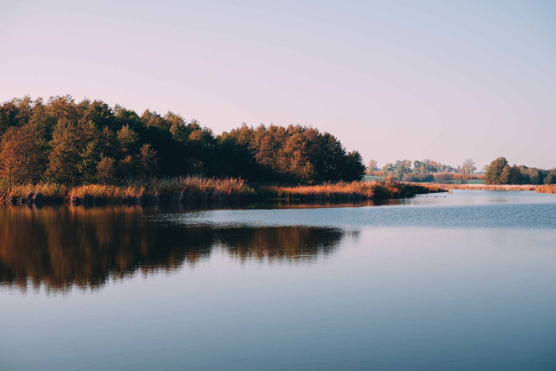 freestocks-c73TZ2sIU38-unsplash_compressed